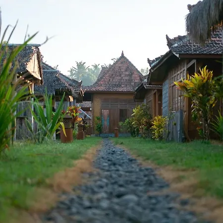 Bali Tiger Hideaway