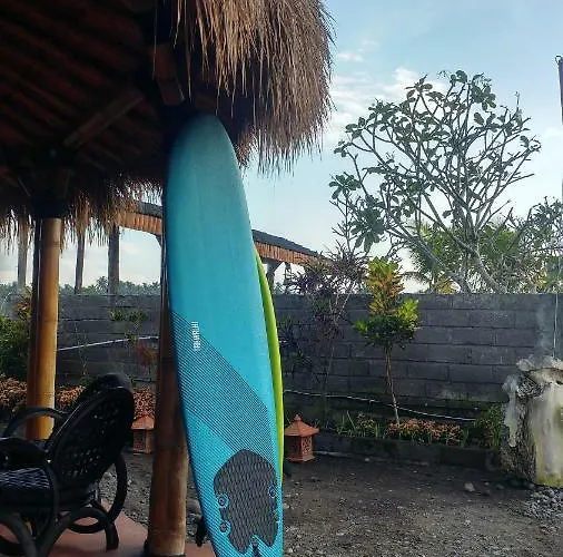 Bali Tiger Hideaway