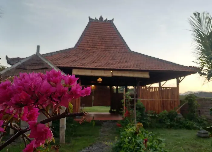 Bali Tiger Hideaway Resort