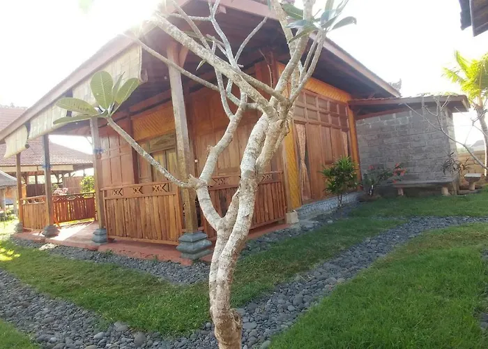 Resort Bali Tiger Hideaway
