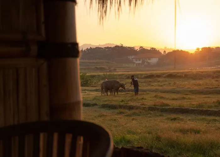 Bali Tiger Hideaway 3*