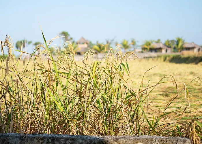 Bali Tiger Hideaway 3* Pulukan