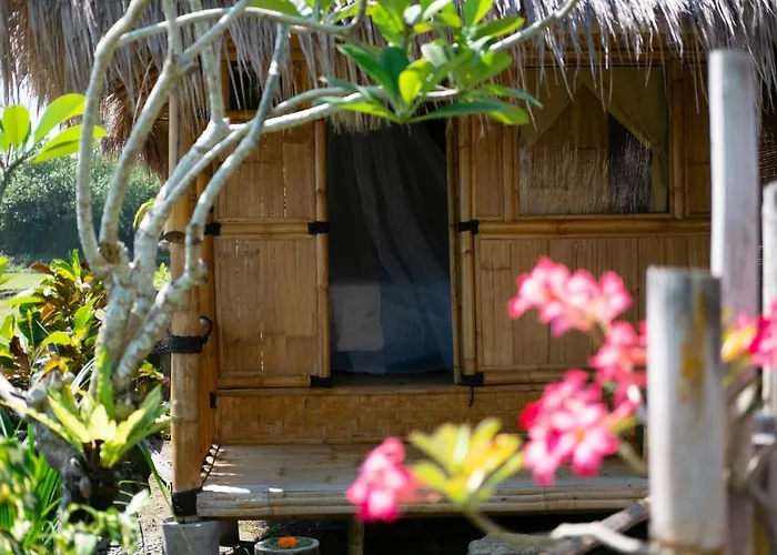 Resort Bali Tiger Hideaway