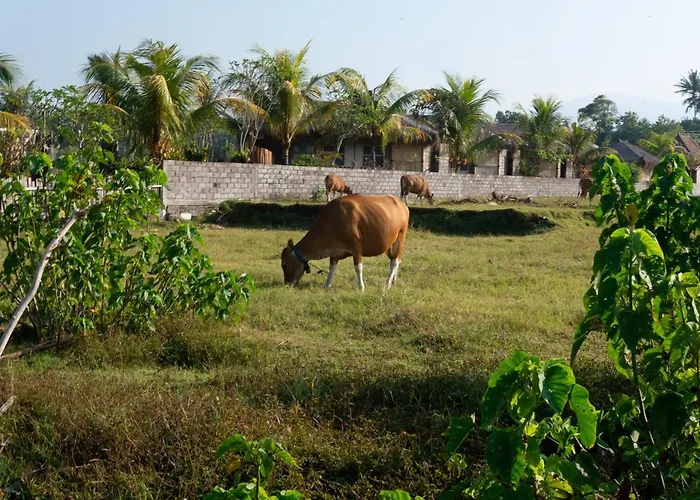Bali Tiger Hideaway Pulukan