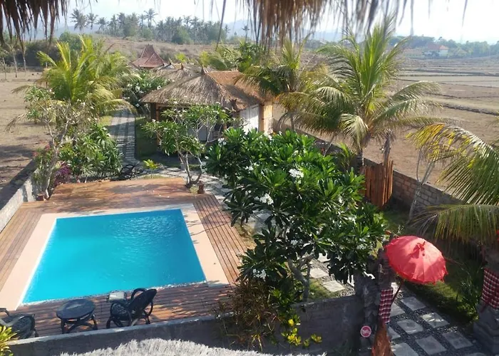 Bali Tiger Hideaway